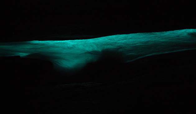 gruta