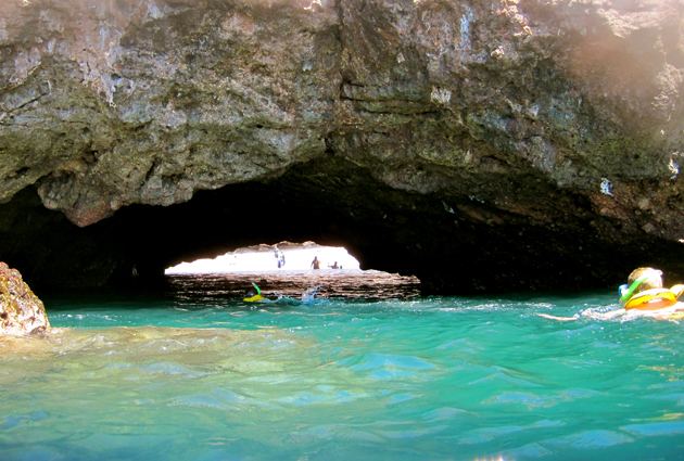 Ecotoursvallarta
