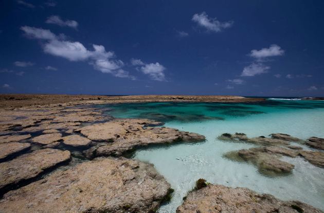 Reserva Biológica Marinha do Atol das Rocas | Rio Grande do Nor