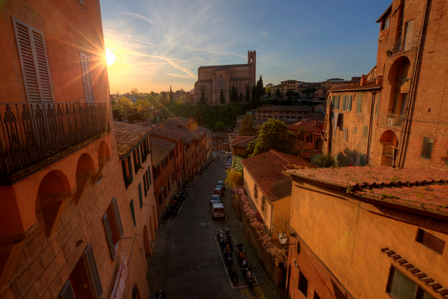 siena