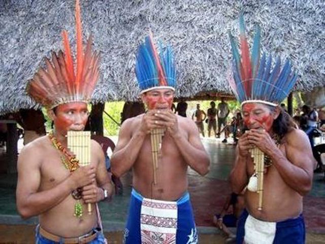 Macuxi