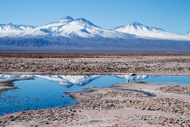 atacama