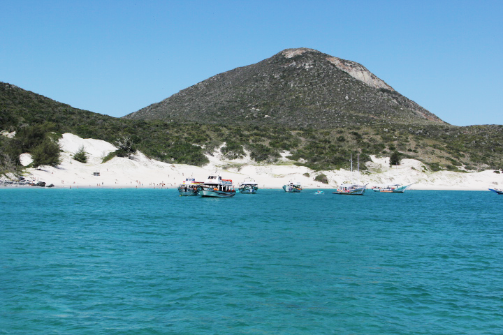 tortuga2