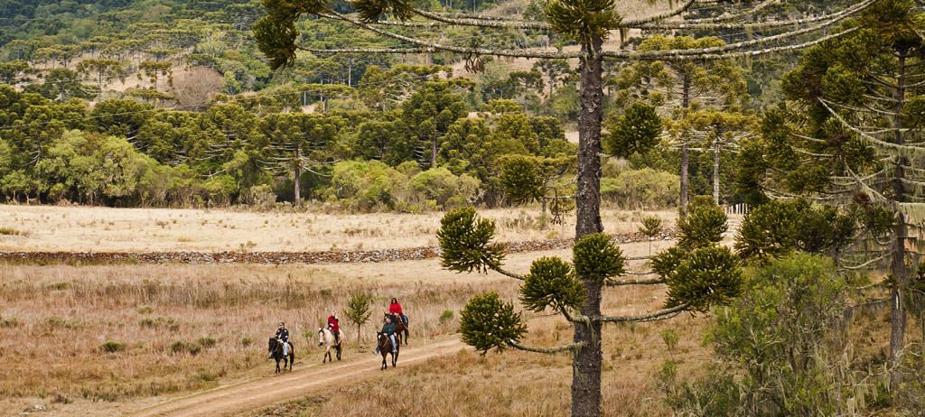 urubici2