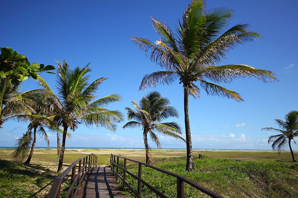 Aracaju