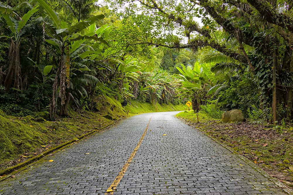 lugares para conhecer no Paraná