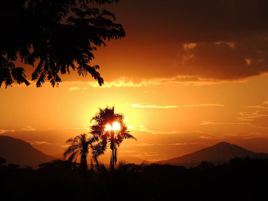 Foto: Shutterstock