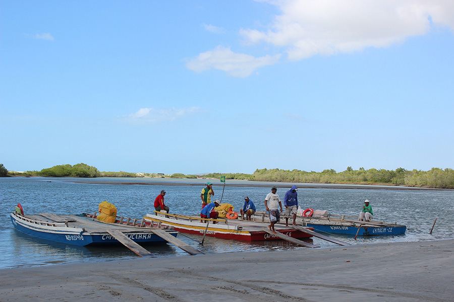 Foto: Paulo Cesar da Rosa