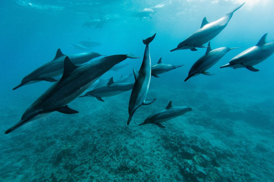 Foto: Getty Images