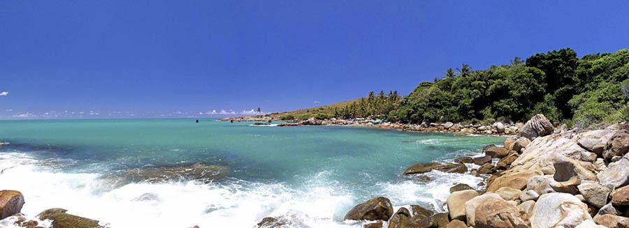 Foto: Portal do Cao