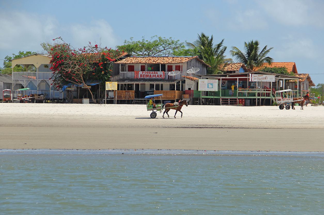 Algodoal-ilha-no-Pará