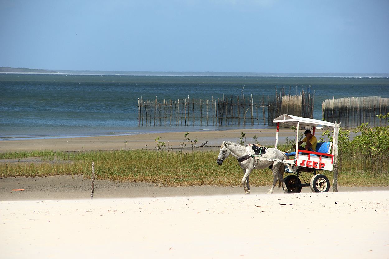 Algodoal-ilha-no-Pará-4