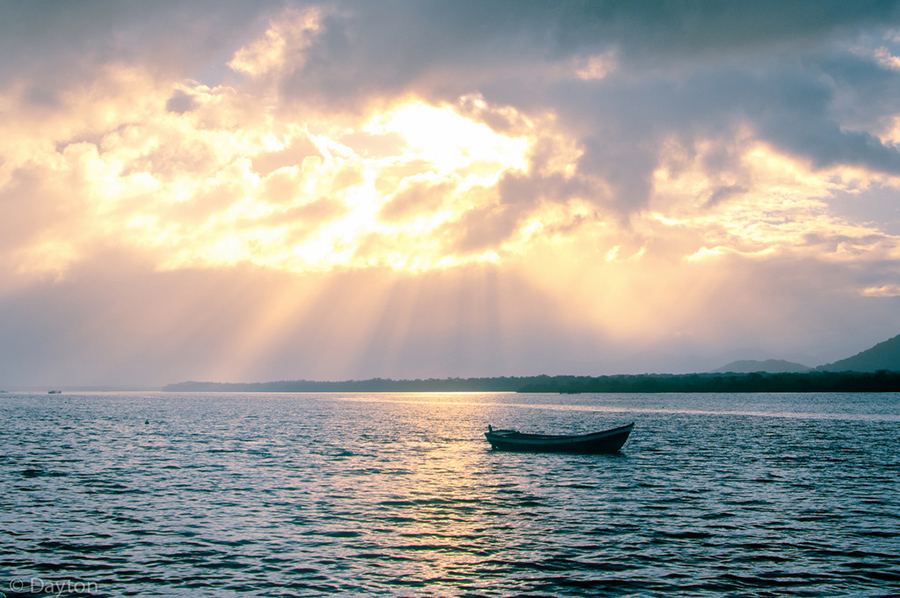 Ilha do Cardoso - Cananéia. Foto: Donetts Diniz