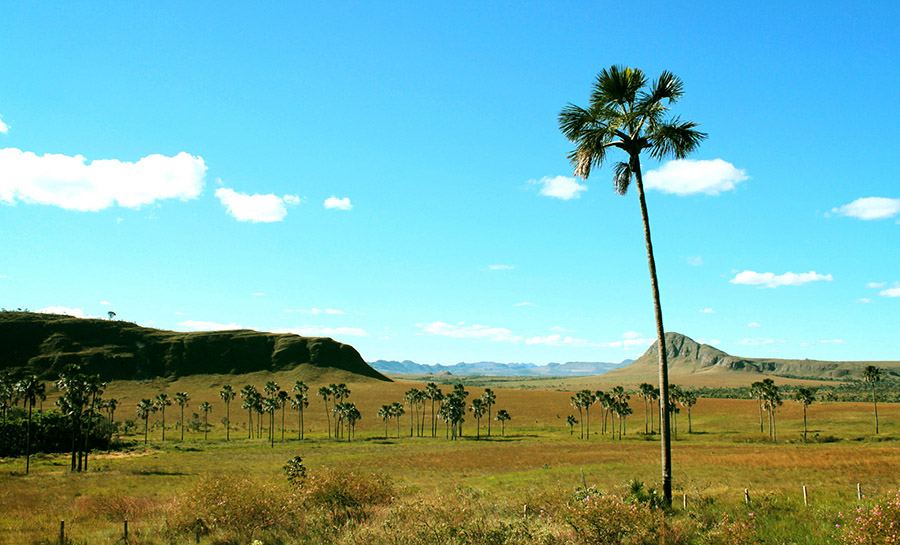 Chapada dos Veadeiros