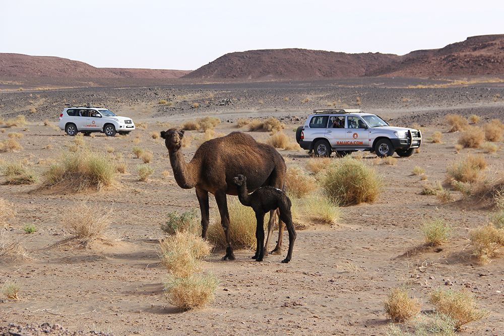 Turismo no Marrocos