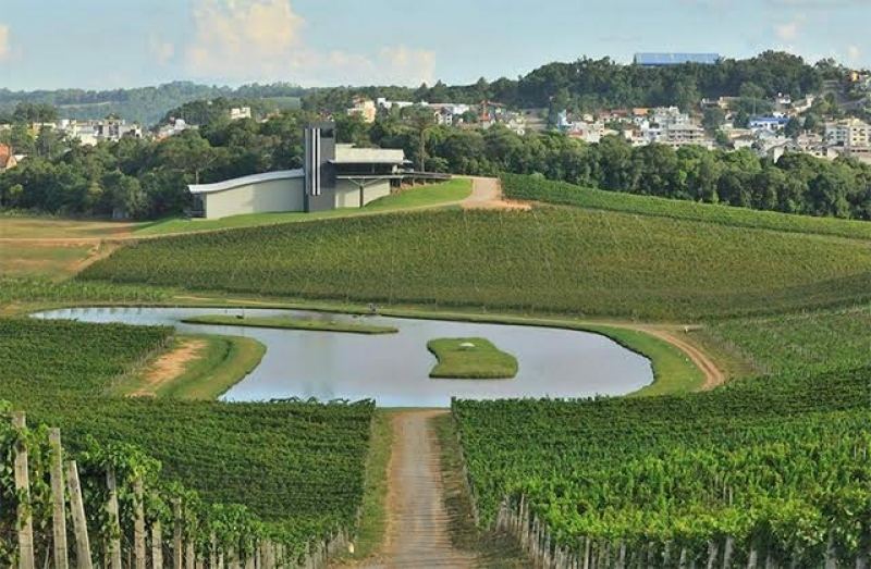 melhores-vinícolas-ao-redor-do-mundo-8