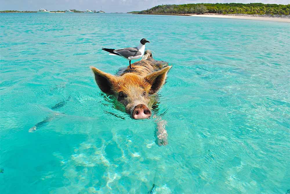 destinos-no-caribe-9