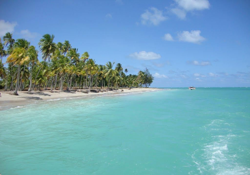melhores praias para conhecer no Brasil