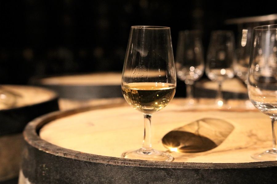 Região dos vinhos