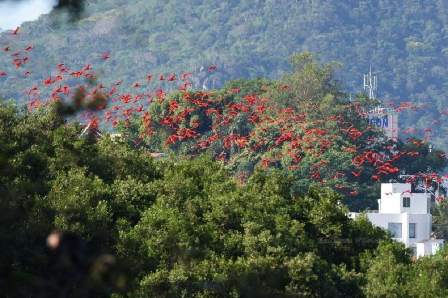 florianópolis
