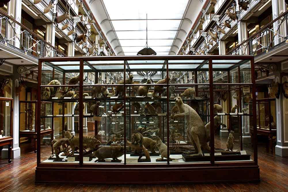 Melhores Museus de Dublin