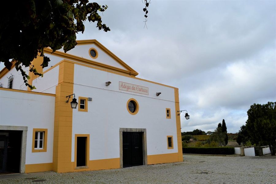 vinícola