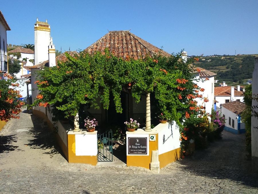 fotos