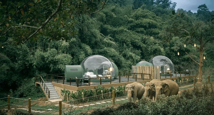 Anantara Golden Triangle Elephant Camp & Resort